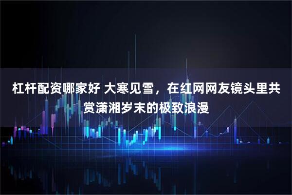 杠杆配资哪家好 大寒见雪，在红网网友镜头里共赏潇湘岁末的极致浪漫